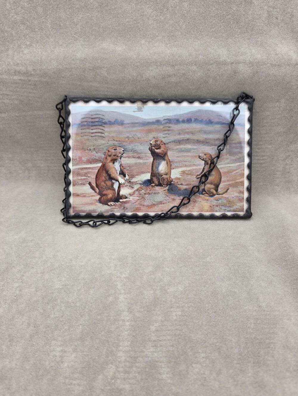 Vintage Prairie Dog Postcard Framed in Glass